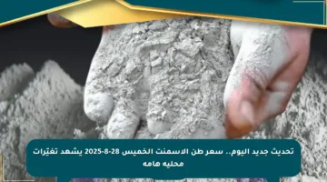 تحديث جديد اليوم.. سعر طن الأسمنت الخميس 28-8-2025 يشهد تغيّرات محلية هامة